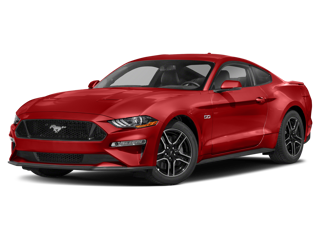 2019 Mustang