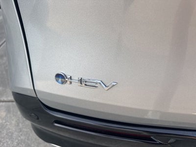 2025 Toyota Sienna Platinum 7 Passenger